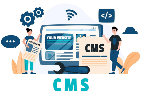 WordPress web development